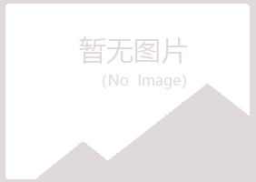 黄陂区夏彤水泥有限公司